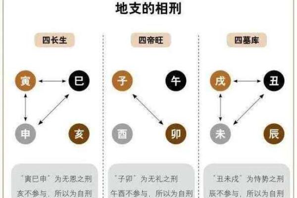 解密十二地支与命理学的联系