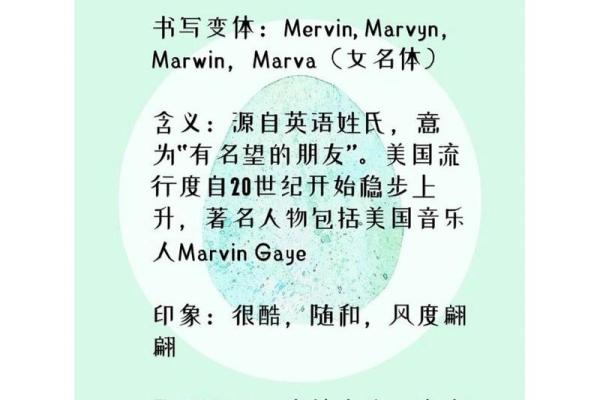 适合盗贼角色的英文名字推荐