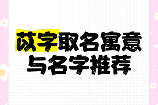 探索苡馨名字背后的文化与寓意