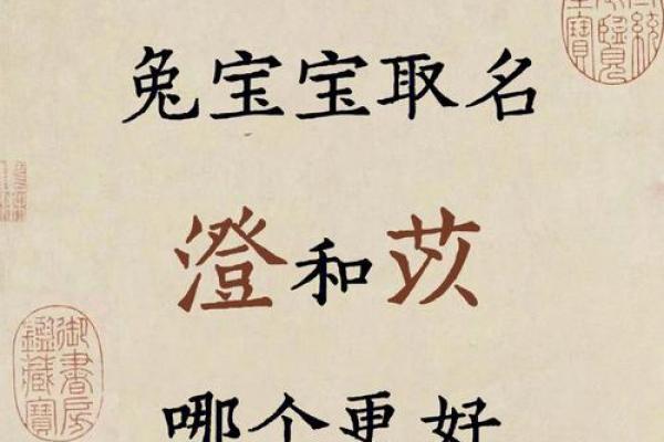 探索苡馨名字背后的文化与寓意