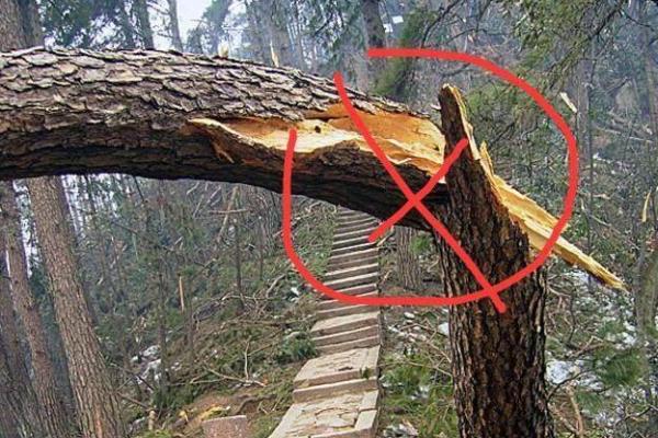 高压线下的住宅地基:揭秘风水禁忌与化解之道 高压线下的住宅地基:揭秘风水禁忌与化解之道