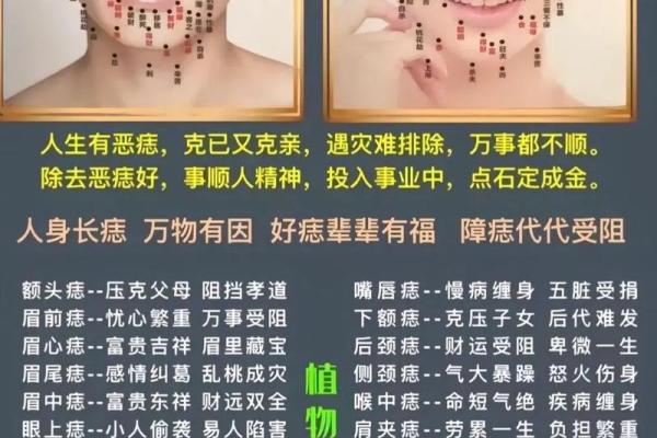 痣相解析：揭秘你的命运走向，痣相背后的惊人秘密！