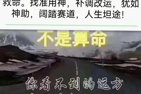 家居白酒风水秘籍，财运亨通必备！