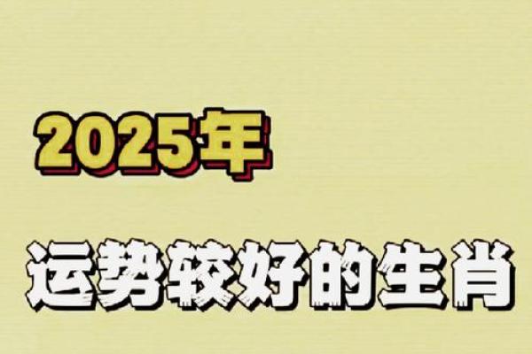 属鸡每月运势：财运亨通，事业腾飞，揭秘运势巅峰