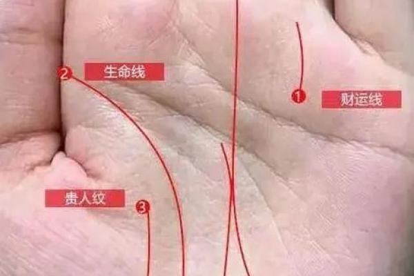看手相杂乱无章，运势如何解码？