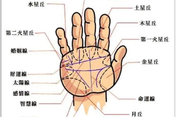 看手相杂乱无章，运势如何解码？