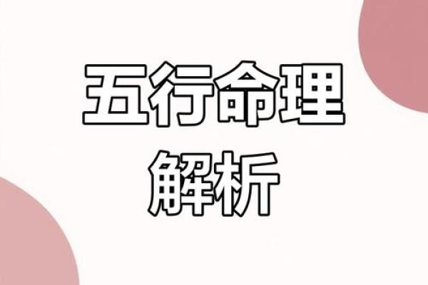 五行命理宝典：揭示命运规律，开启幸福人生