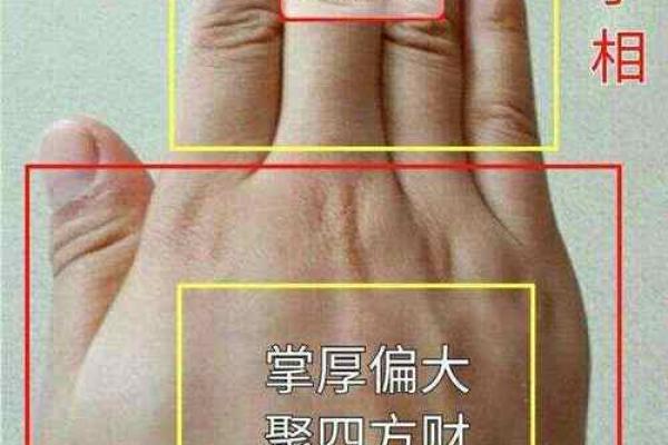 暴富手相大公开，让你轻松识别财运亨通！