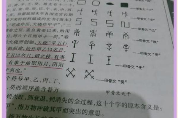 天罡地支掌的神秘奥秘