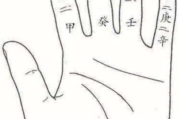 天罡地支掌的神秘奥秘