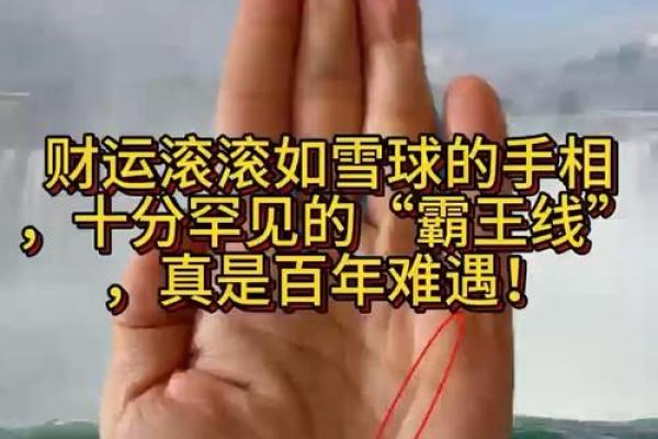 漏网之鱼，揭秘缺德手相的惊人秘密！
