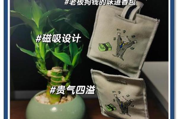 办公室风水秘籍：轻松改运，财运亨通！