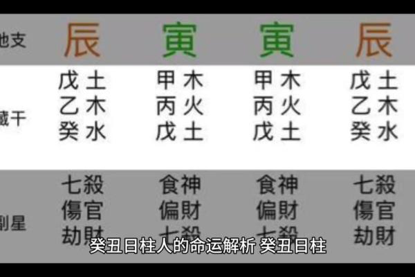 地支癸丑土如何影响个人事业与健康
