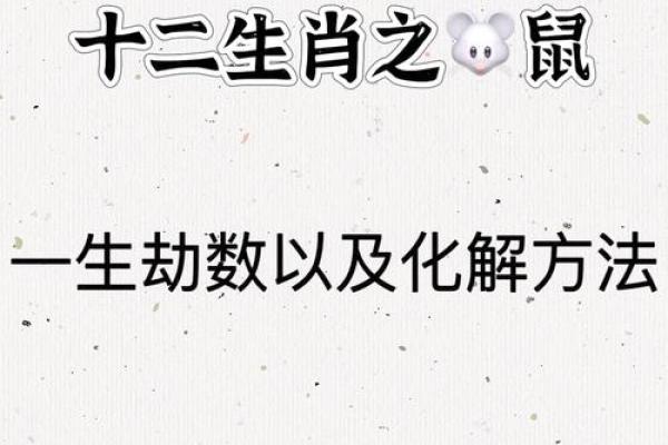 2017鼠女运势大揭秘：运势旺到爆棚，必看爆款解析