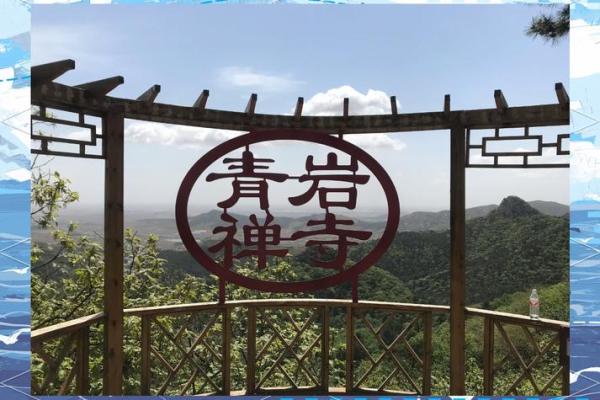 探秘丹名字背后的深厚含义