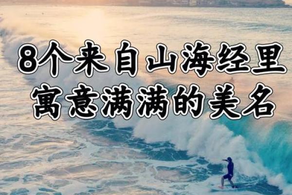 舒杨：一个名字背后的故事与寓意