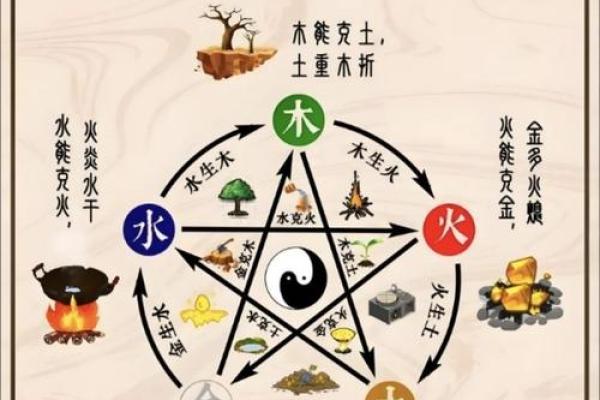 月五行如何在生活中展现其独特作用