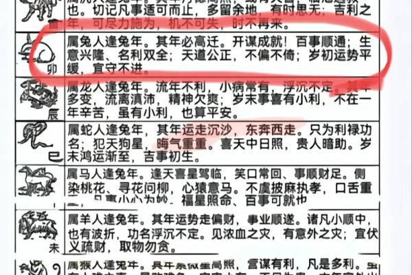 如何利用五行生肖表提升个人运势