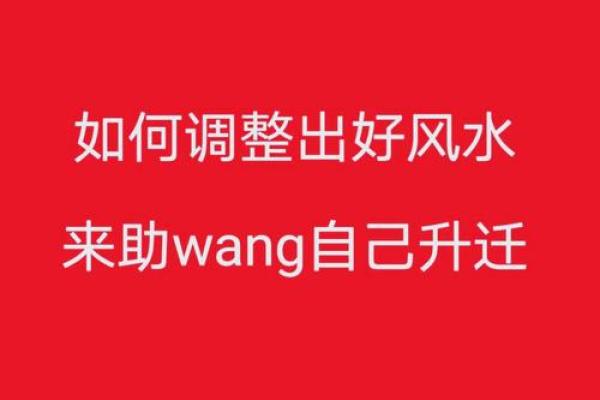 风水办公室布局秘籍，助你事业腾飞！