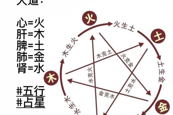 探秘五行与人体六腑的密切关系