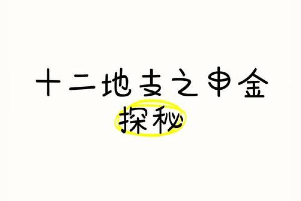地支申金图解：探索其在命理中的地位