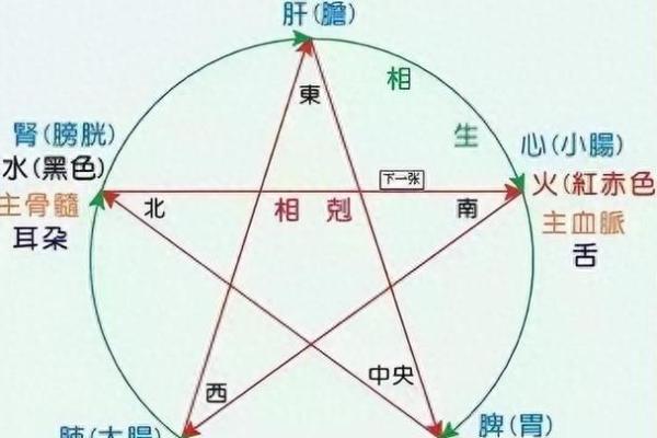了解序五行的五行分类