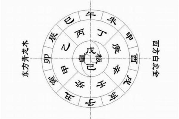 地支中的财官印组合及其影响