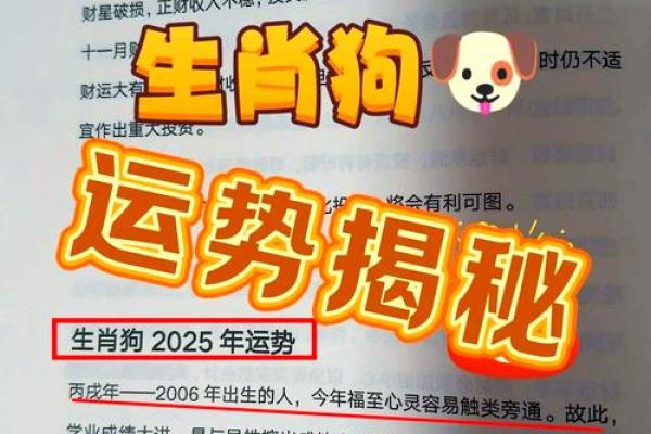 地支与生肖狗的关系如何影响命运