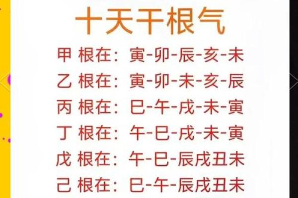 农村住宅风水秘籍：打造旺家吉宅的五大禁忌