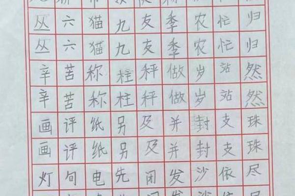 探索含岑名字的独特寓意与文化传承