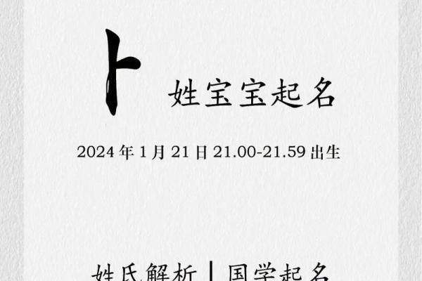 鸡宝宝起名创意集