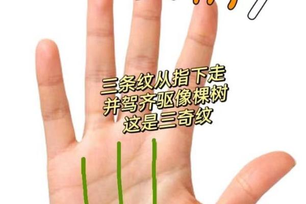 手相揭秘：揭秘命运的秘密，你手上藏着哪些信息？