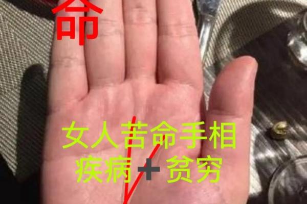 手相揭秘：揭秘命运的秘密，你手上藏着哪些信息？