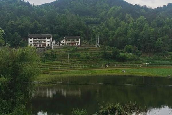 12字揭秘阳宅风水，让您家宅安宁财运旺