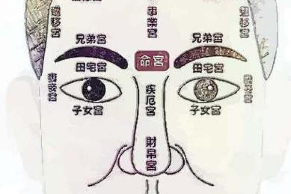 一窥阴阳宅风水绝学，揭秘面相运势之谜