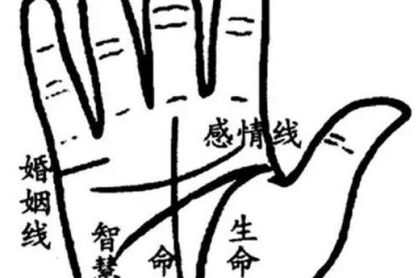 一手掌握财运：祖马手相学的神奇魅力
