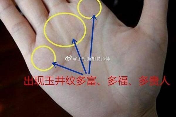 一手掌握财运：祖马手相学的神奇魅力