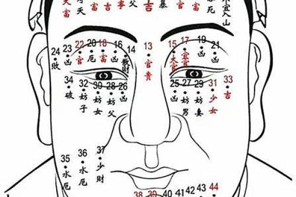 神秘背痣揭秘：麻衣相足的惊人命运！