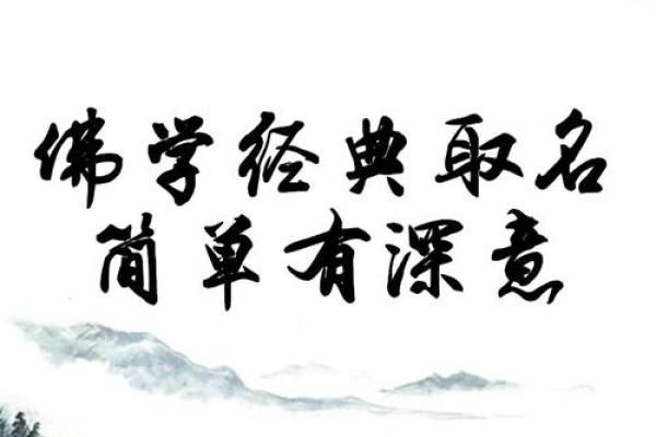 探索多才多艺的名字背后的深意与魅力