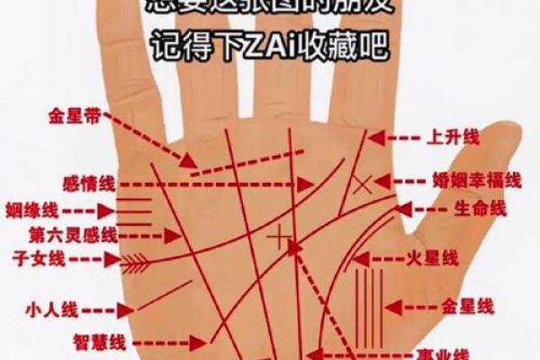 手相印读心术：揭秘你的运势与性格