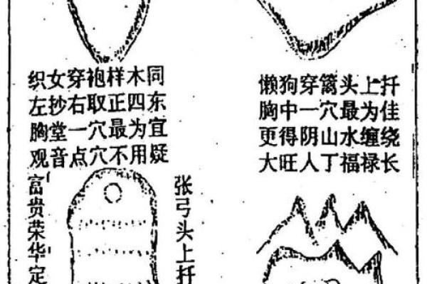 风水学入门案例解析与实践技巧分享