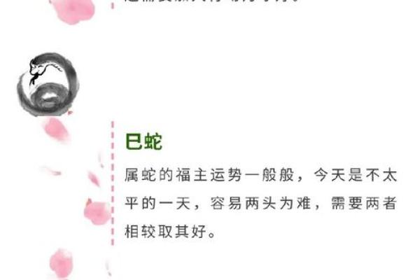 姓名如星，运势如画——解码生辰名字之命运密码