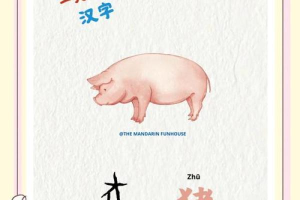 解读猪字的五行属性