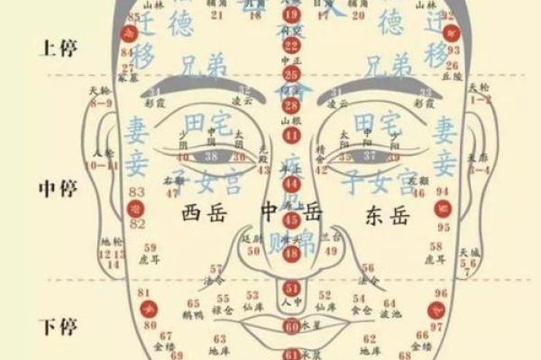 麻衣面相流年图：揭秘命运起伏的神秘面相密码