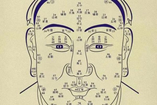 面相奥秘：鼻嘴之间蕴藏的运势秘密