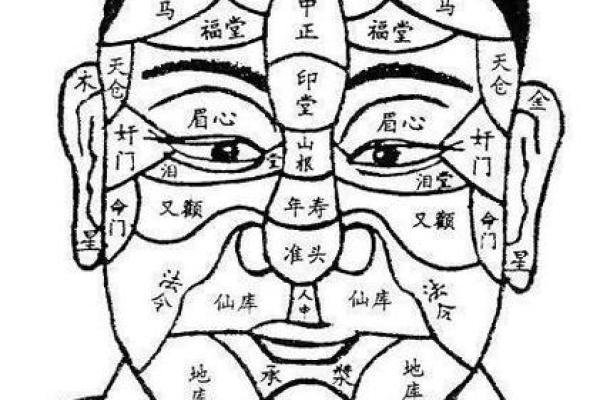 面相奥秘：鼻嘴之间蕴藏的运势秘密