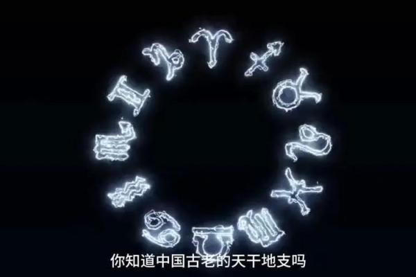 从西方视角看天干地支的神秘魅力
