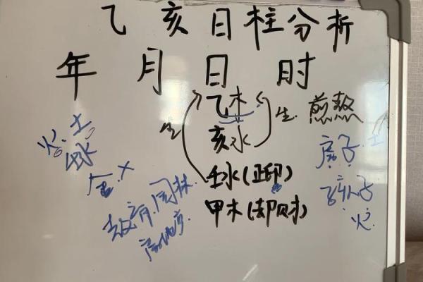乙亥年五行属什么？深度解析