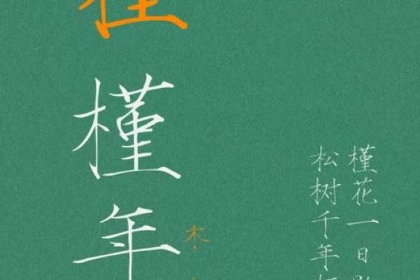 王容：寓意美好，前程似锦的姓名解析