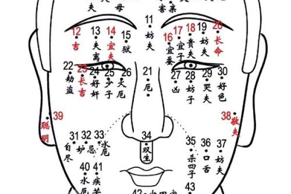 痣相背后的秘密：真的能预示未来？